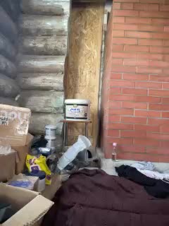 Panther_0888 Adult Chat August 22, 2025