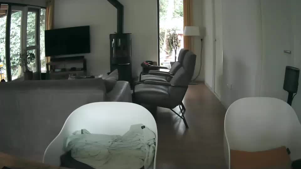 woodwurm Adult Chat August 22, 2025