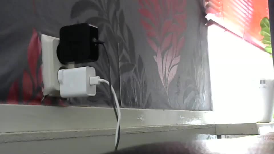 ebonyendebeest Adult Chat August 22, 2025