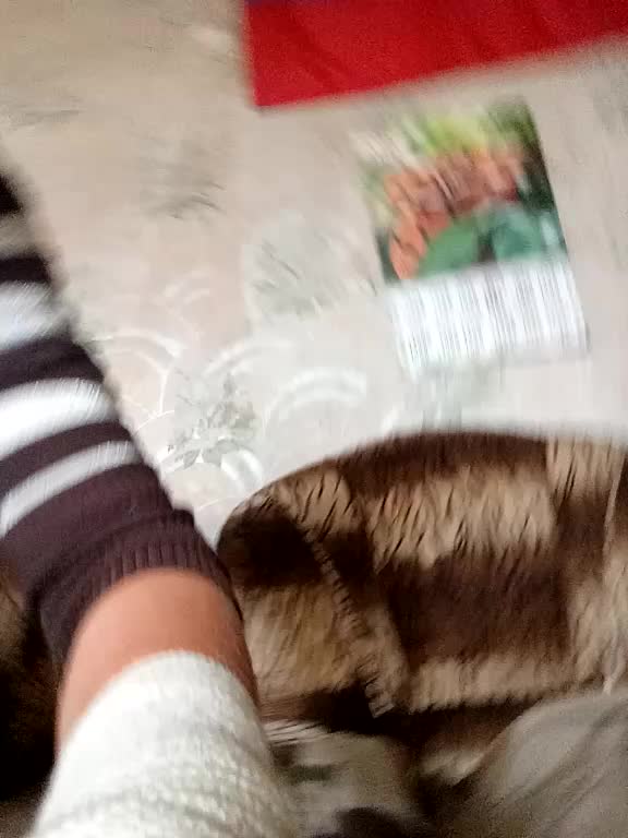 Calibriya Adult Chat August 23, 2025