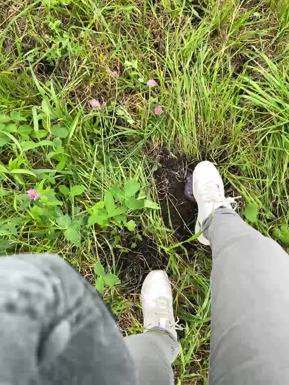 RedAura Adult Chat August 23, 2025