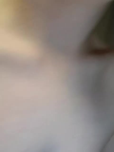 -Emii Adult Chat August 23, 2025