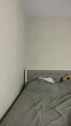 SweetySonya Adult Chat August 23, 2025