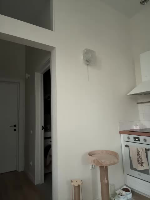 -Your-Michelle- Adult Chat August 23, 2025