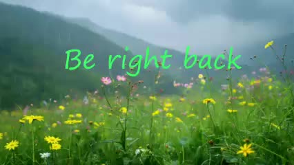 stressygirl Adult Chat August 23, 2025