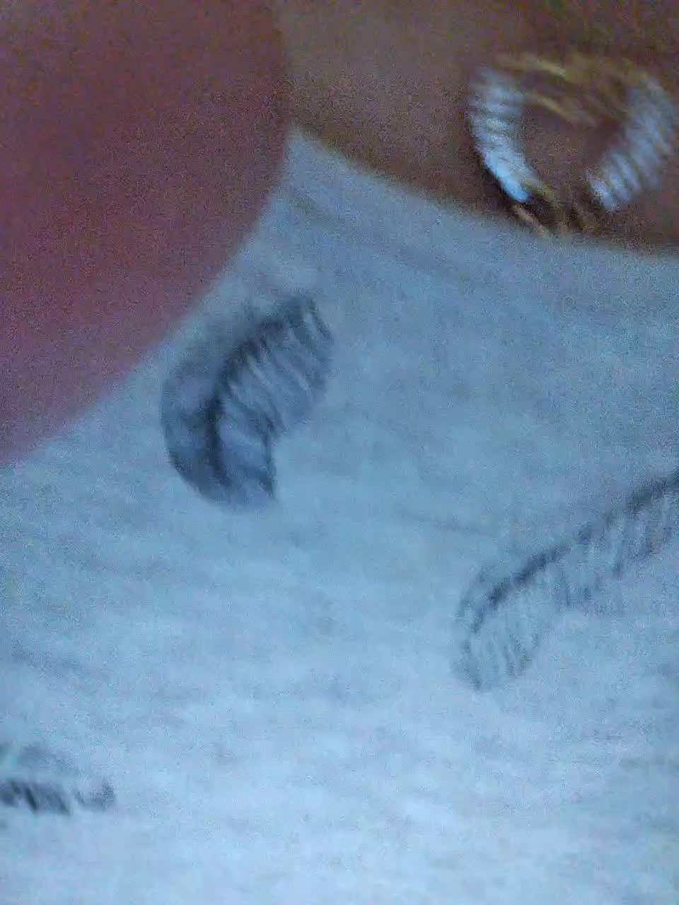 M-o-R-k-O-v-K-a Adult Chat August 23, 2025