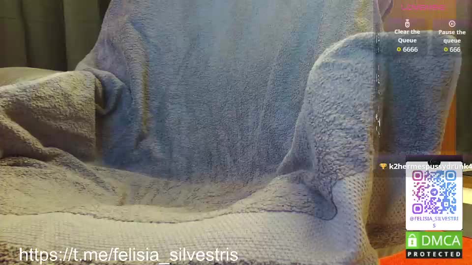 felisia_silvestris Adult Chat August 23, 2025