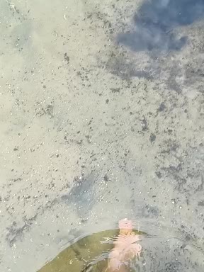 BabyMarm Adult Chat August 23, 2025