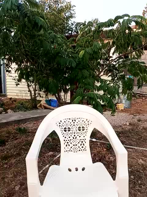 KonFeetaa Adult Chat August 23, 2025