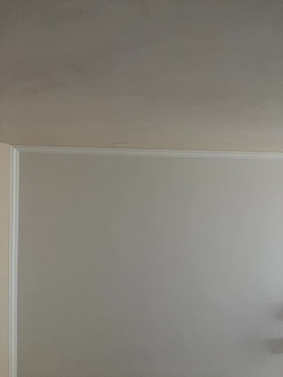 polli_molli Adult Chat August 23, 2025