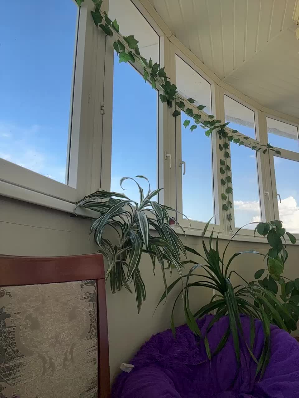 WednesdayFridayAddams Adult Chat August 24, 2025