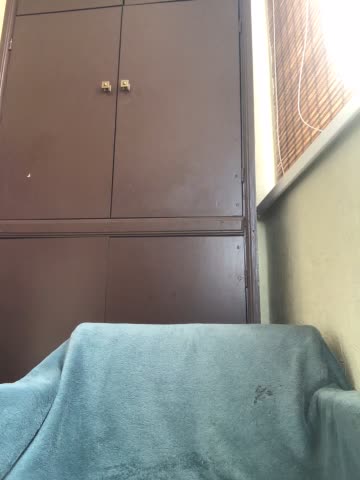 DaValichka Adult Chat August 23, 2025