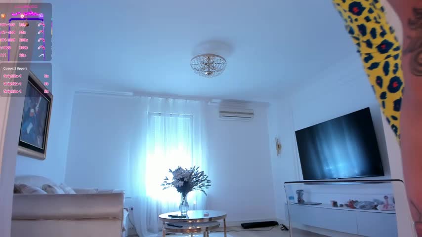 seilyfox Adult Chat August 23, 2025