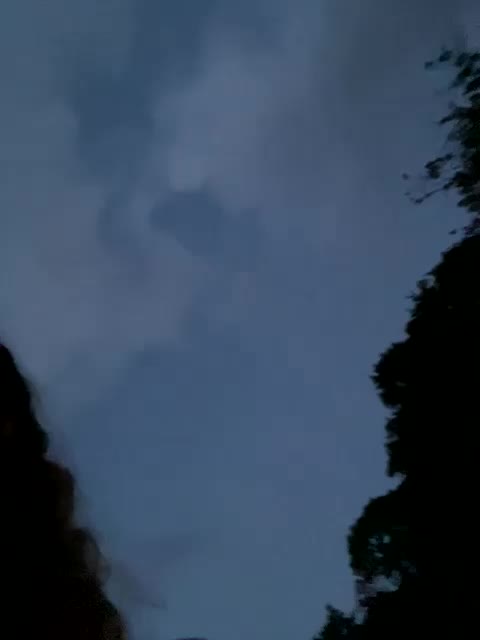 Chikipikin Adult Chat August 24, 2025