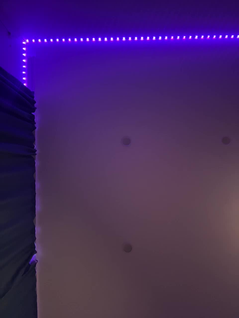 VULGARITY Adult Chat August 24, 2025