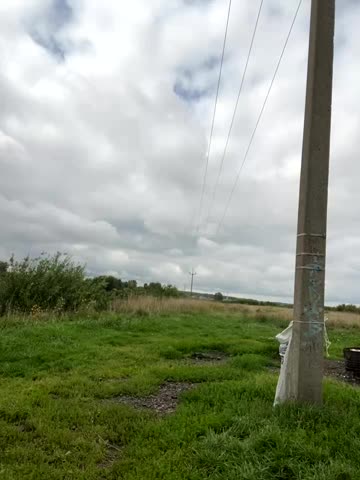 MiraReach Adult Chat August 24, 2025