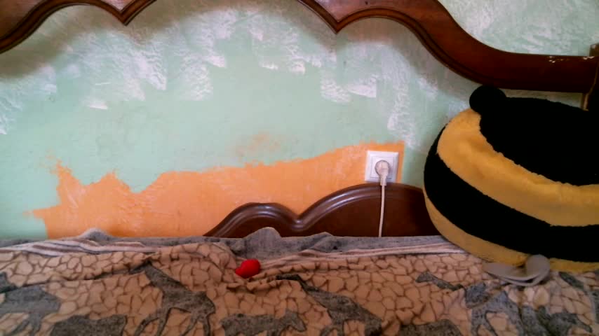 DennisXCaroll Adult Chat August 24, 2025