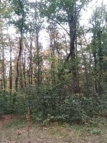 Niht_Angels Adult Chat August 24, 2025