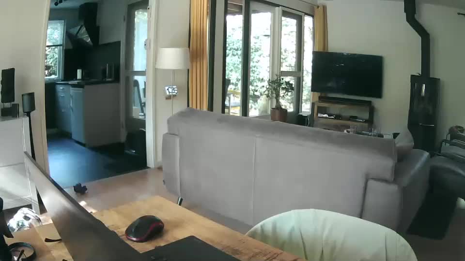 woodwurm Adult Chat August 24, 2025