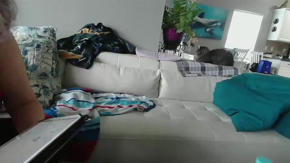 smallpenisbigtongue Adult Chat August 24, 2025