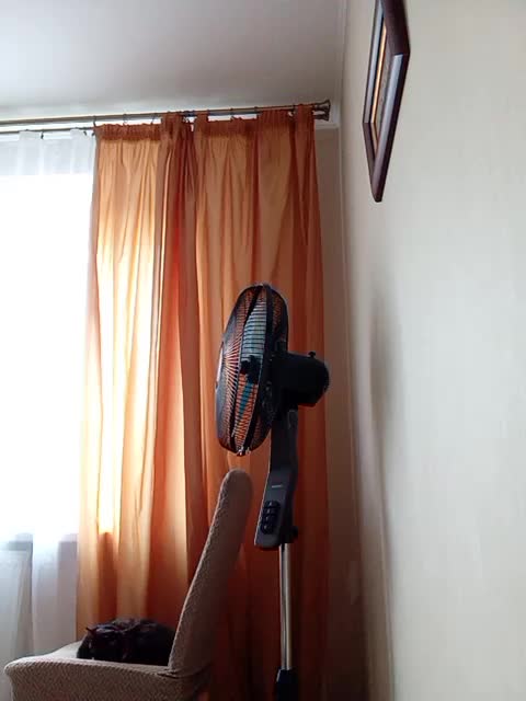 GolayaPravda Adult Chat August 24, 2025