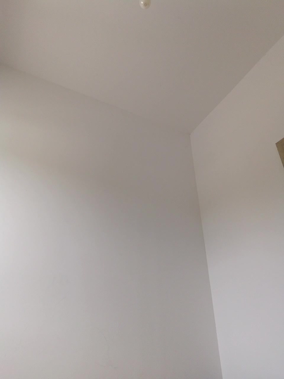 Vika211 Adult Chat August 25, 2025