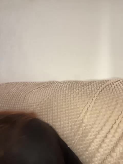 Vexahlia Adult Chat August 25, 2025