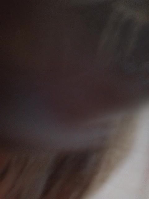 Yamiakuma Adult Chat August 25, 2025