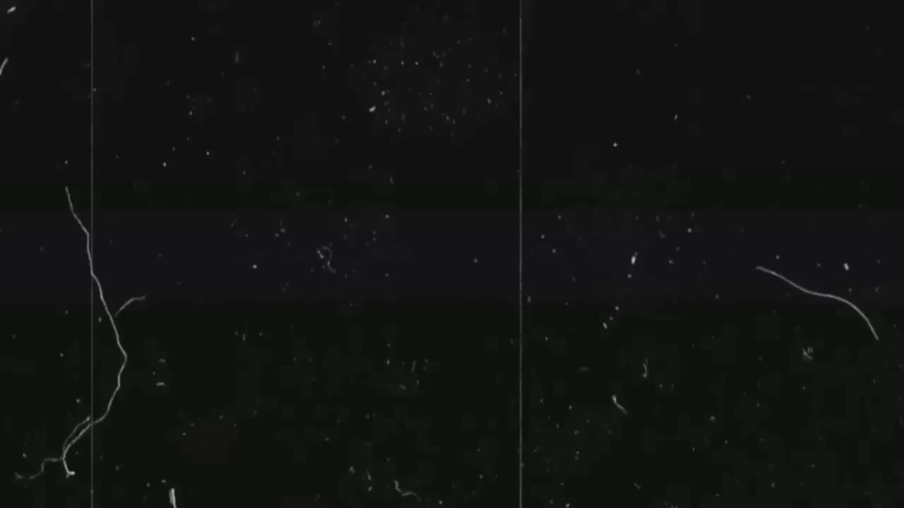 -Vivian- Adult Chat August 25, 2025