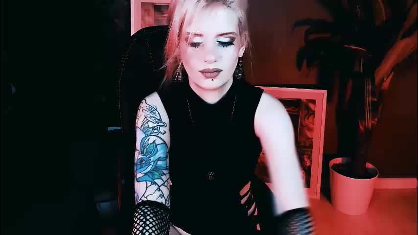 noah_elmer Adult Chat August 25, 2025