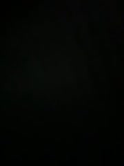 LikaCat Adult Chat August 25, 2025