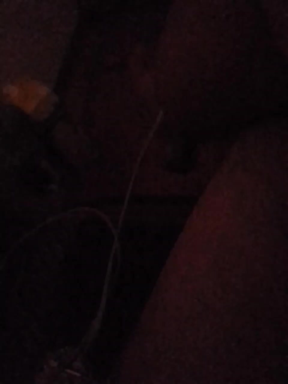 Fuffocka Adult Chat August 25, 2025