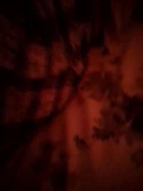 Fuffocka Adult Chat August 25, 2025