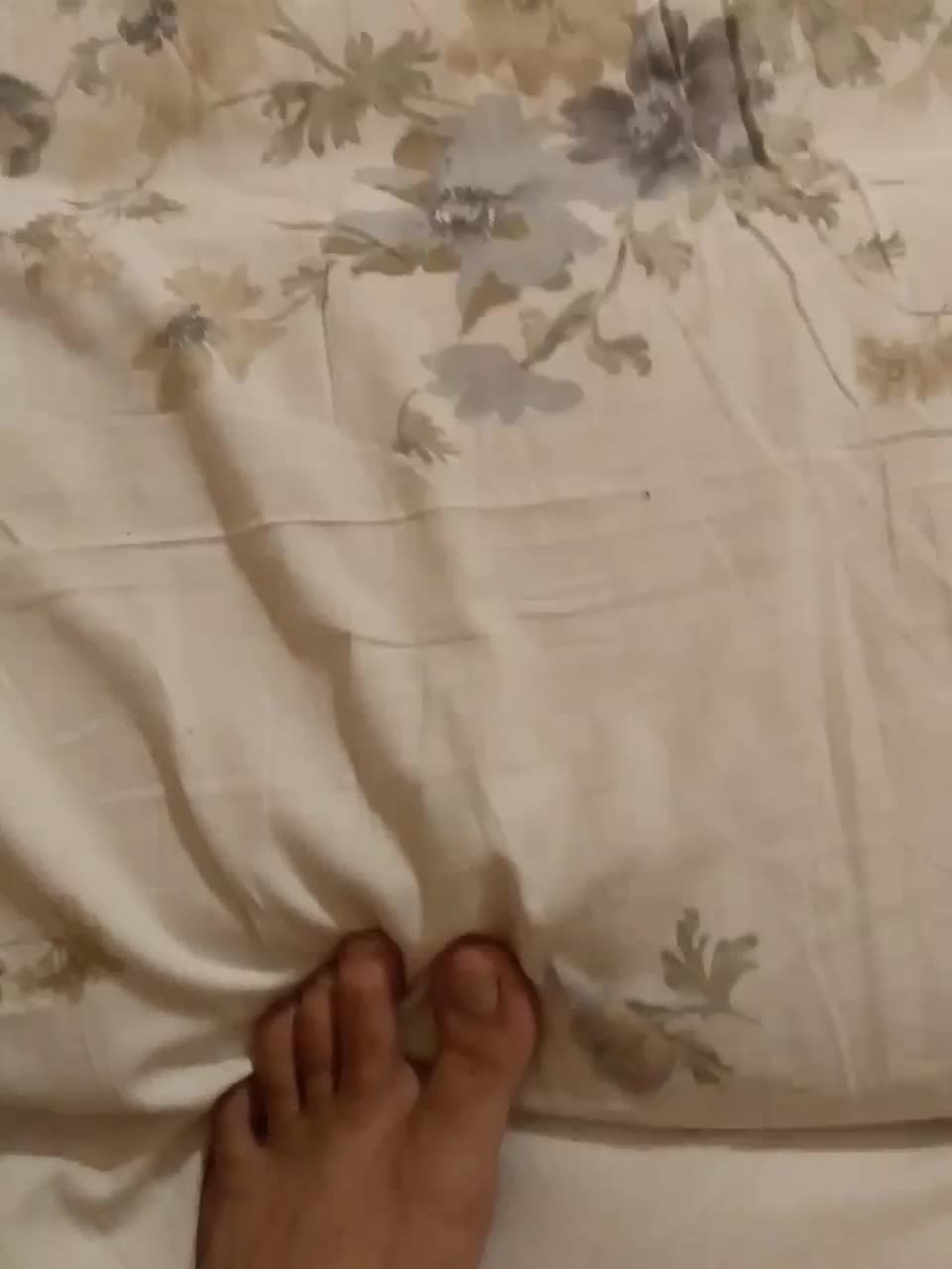 Fuffocka Adult Chat August 25, 2025