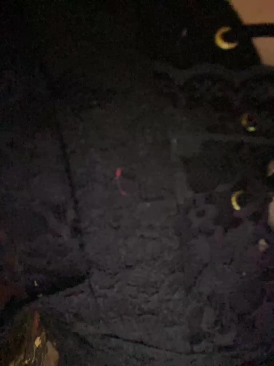 TTwoloverss Adult Chat August 25, 2025