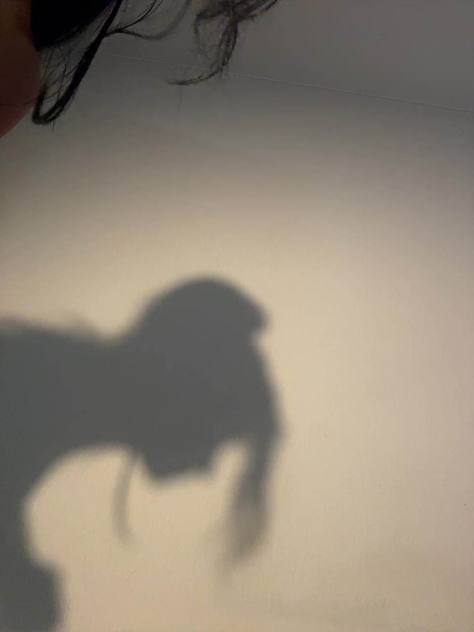 VULGARITY Adult Chat August 25, 2025