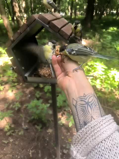 TilyTily Adult Chat August 26, 2025