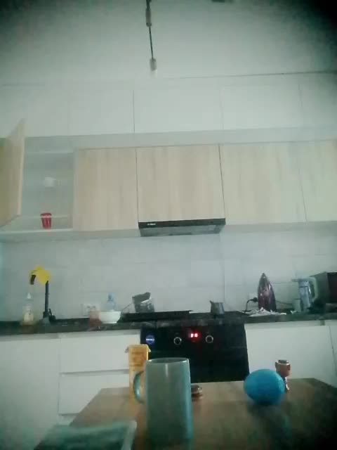 Bogina2 Adult Chat August 26, 2025