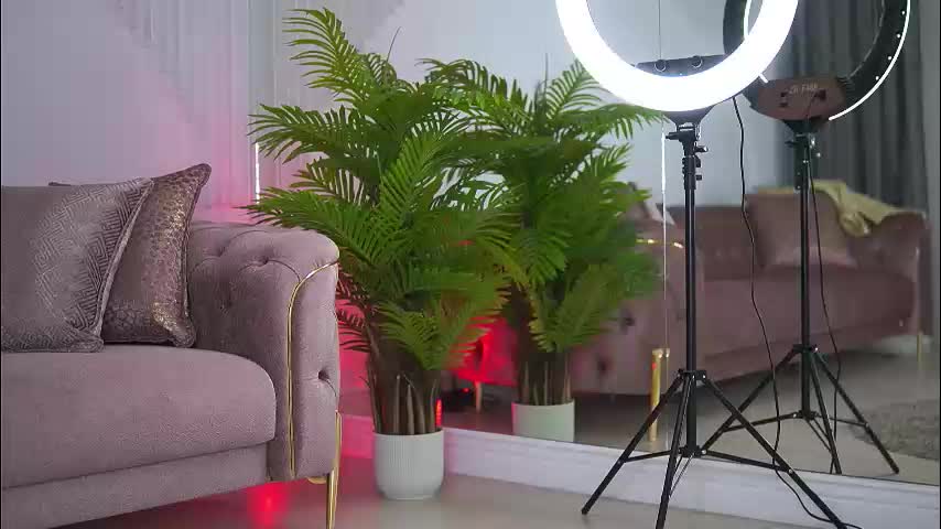 abbela_white Adult Chat August 26, 2025