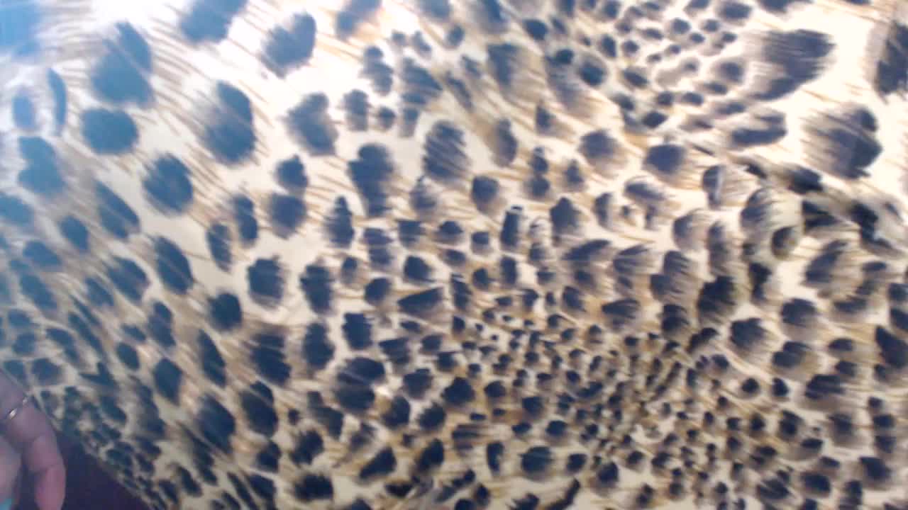 Veta-Viola Adult Chat August 26, 2025