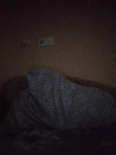 LunaRex Adult Chat August 26, 2025