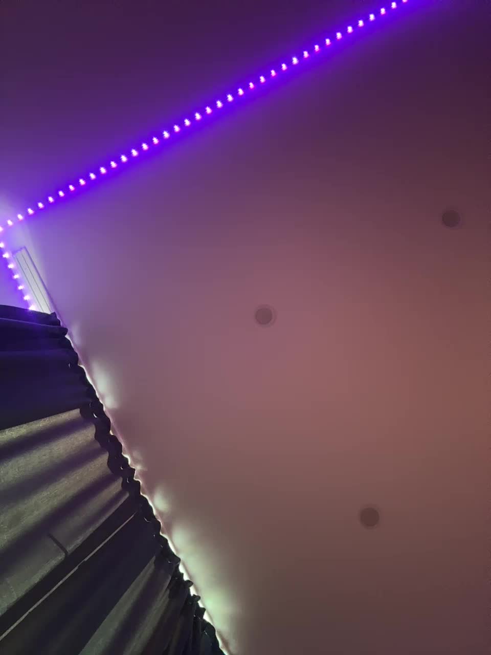 VULGARITY Adult Chat August 25, 2025