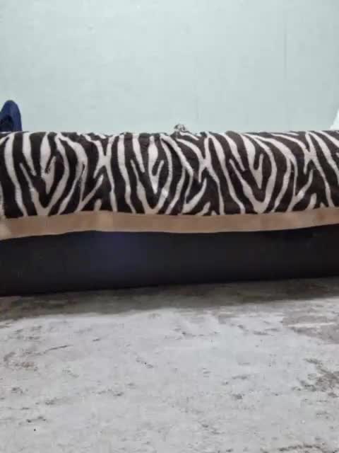 Malvina11 Adult Chat August 26, 2025