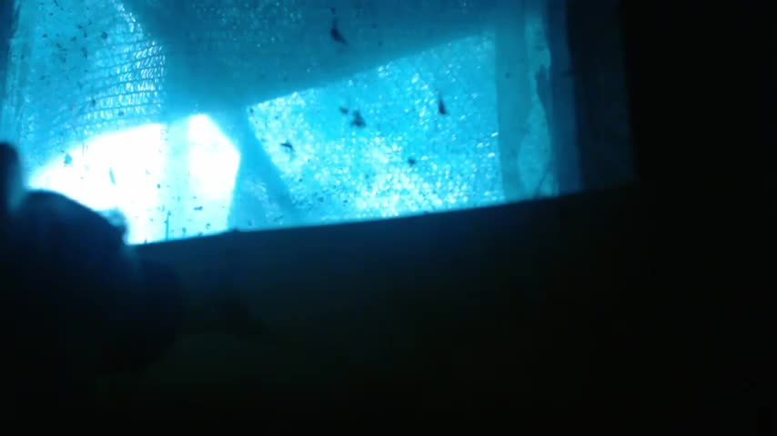 1BECHA1 Adult Chat August 26, 2025