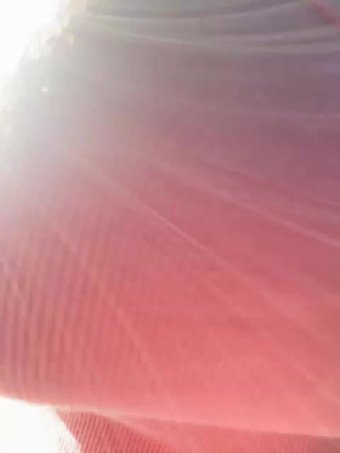 PrurientGem Adult Chat August 26, 2025