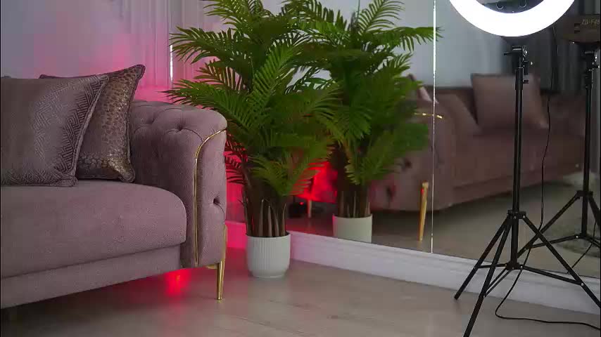 abbela_white Adult Chat August 26, 2025