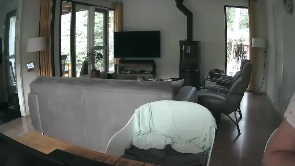 woodwurm Adult Chat August 26, 2025