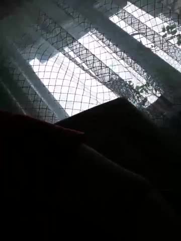 SweetDimond5 Adult Chat August 26, 2025