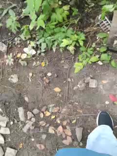 EVIL_TITS Adult Chat August 26, 2025