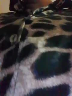 EVIL_TITS Adult Chat August 27, 2025